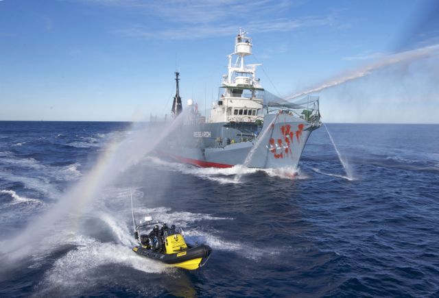 «Όχι» στη δημιουργία καταφυγίου για τις φάλαινες στο Νότιο Ατλαντικό